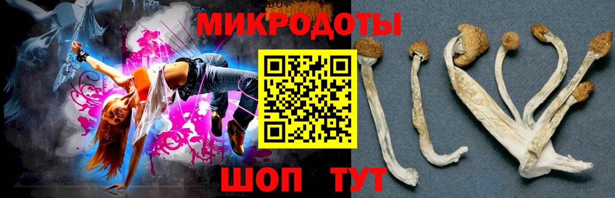 Галлюциногенные грибы Cubensis  Вход с VPN  Зеленогорск 